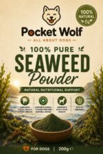 Pure Seaweed Powder for Dogs - Image 2